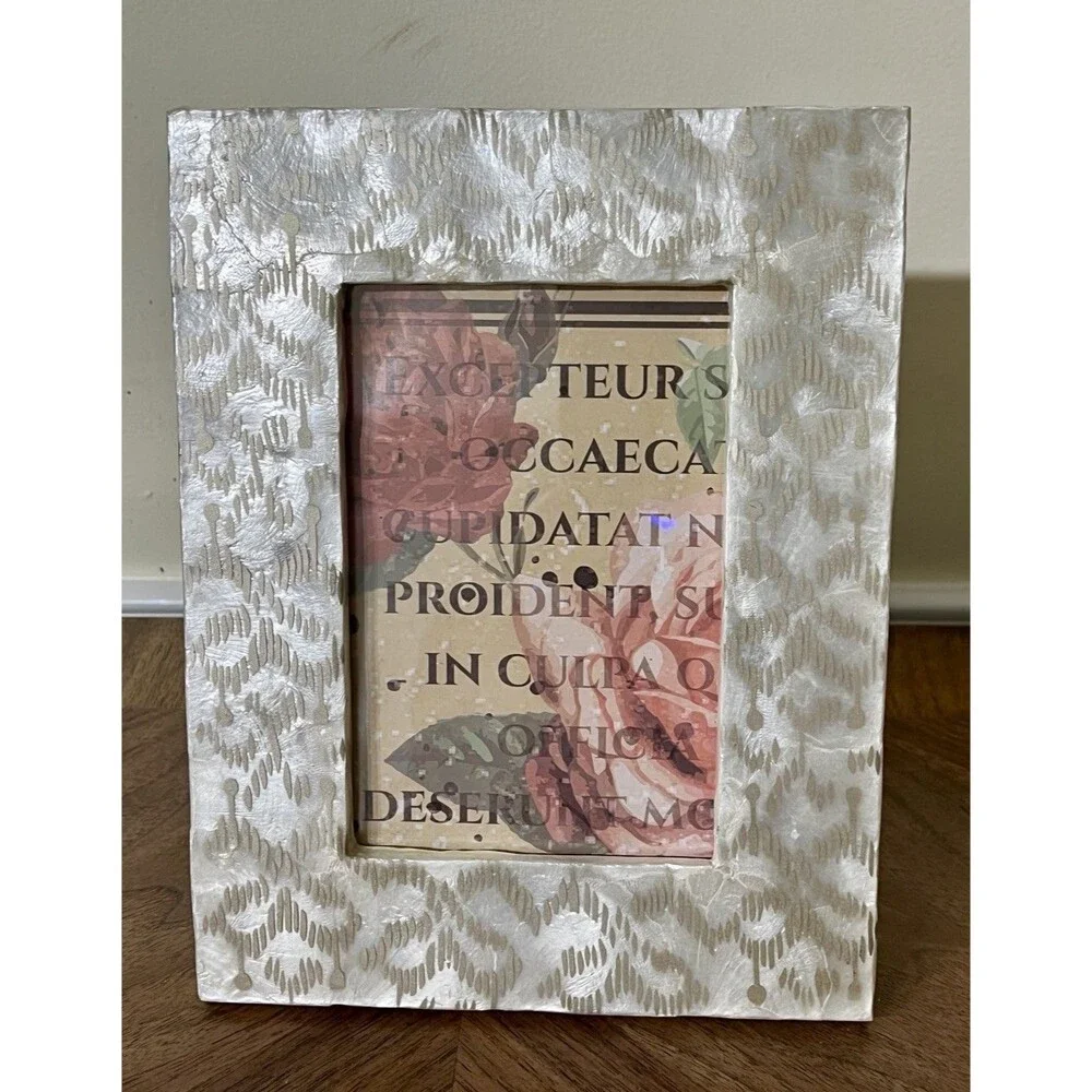 Nicole Miller Home 4x6 Chevron Frame Mother of Pearl Abalone Coastal Shabby